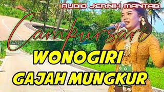 WONOGIRI GAJAH MUNGKUR || CAMPURSARI DANGDUT KOPLO