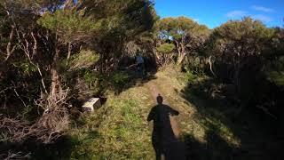 Makara Lower leaping lizard - May 2020