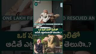 PM Modi Inaugurates World's Largest Wildlife Rescue Centre Vantara | Oneindia Telugu