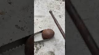 Pouring Casting Copper Snail out of Scrap Perfect Restore to Make Art #shorts #viralvideo #reels