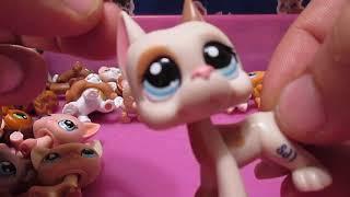 Lps Magic Giveaway and New G1 G2 Pets listed now on LpsQueen.com