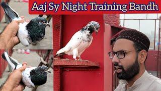 Aaj Sy Kabootaro Ki Night Training Bandh | Hashim Mahmood Pigeons