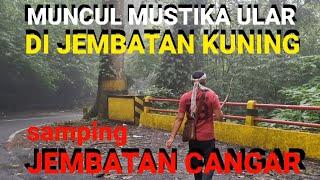 GEGER !!! SAMPING JEMBATAN CANGAR MUNCUL MUSTIKA ULAR