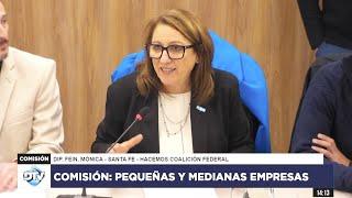 COMISIÓN COMPLETA: PEQUEÑAS Y MEDIANAS EMPRESAS - 10 de julio de 2024 - Diputados Argentina
