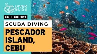 Scuba Diving Pescador Island in Moalboal, Cebu, Philippines