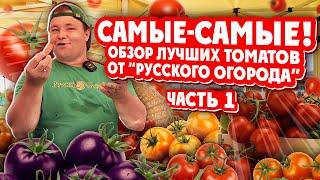 САМЫЕ-САМЫЕ! Обзор Лучших томатов от "Русского Огорода" Часть1