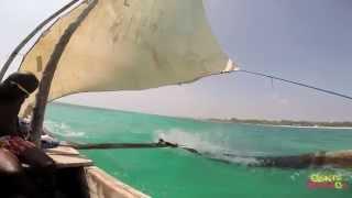 chillax: dhow (sailing in the Indian Ocean)