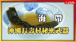 讓沖繩有長壽村之稱的秘密！海帶營養價值報你知