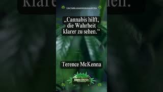 Zitate bekannter Menschen zu Cannabis. #420 #zitate #grow #terencemckenna