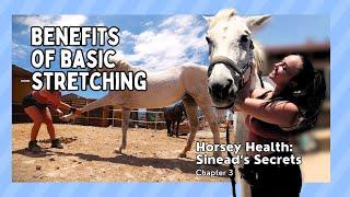 Horsey Health - Sinead's Secrets | Ch. 3 - The Benefits Of Basic Stretching