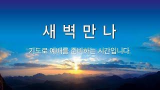 2025년 3월 11일 새벽만나