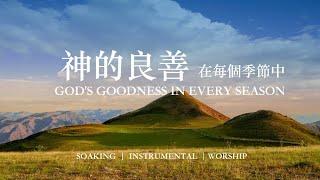 神的良善在每個季節中 GOD'S GOODNESS｜靈修鋼琴沈浸音樂｜等候神音樂｜soaking  music piano 輕音樂 #instrumental  #relaxingmusic