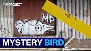 Why Pam The Bird Is Taking Over Melbourne