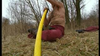 Wim Hof De IJsman