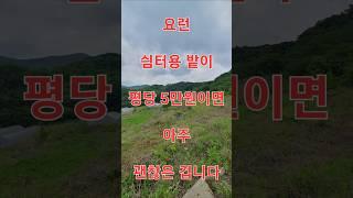  부동산 ↪️ 이광규855  #쉼터용지  충주시 수안보면 평당 5만원의 산자락에 붙은 전 1,346평