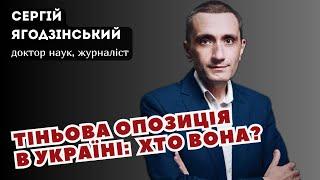 Тіньова опозиція в Україні: хто вона?