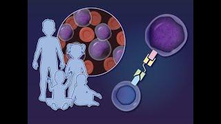 Blinatumomab in B-Cell Acute Lymphoblastic Leukemia | NEJM