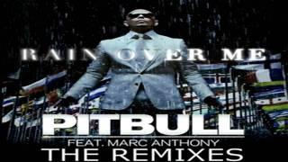 pitbull the remix