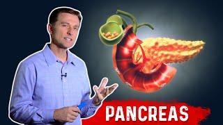 The Function Of Pancreas & Pancreatitis – Dr. Berg﻿ on Pancreatic Insufficiency