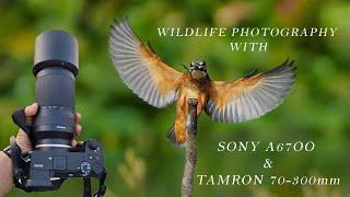 Wildlife Photography with Sony A6700 & Tamron 70-300mm in 4K | #sonya6700 #wildlife #photography