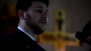 Alexandru Chiriac   Sub o salcie pletoasa