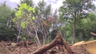 Cat D3B Dozer Pushing a Stump Out