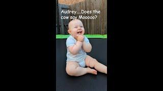 What does the cow say?  #cute #baby #pixel6a