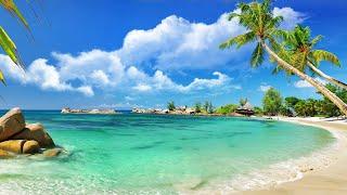 Relax Music  Bossa Nova Beach  Bossa Nova with Ocean Waves for Good Mood