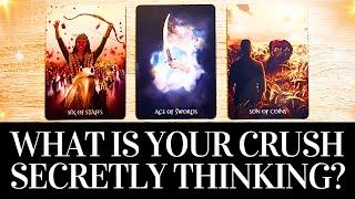   HOW DOES YOUR CRUSH SEE YOU    THEIR SECRET THOUGHTS & FEELINGS  PICK A CARD Tarot Reading
