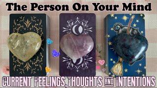 Your Person's Current Feelings,Thoughts & Intentions️‍🩹Timeless pick a card love reading🪽