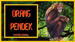 The Orang Pendek - A Short Documentary