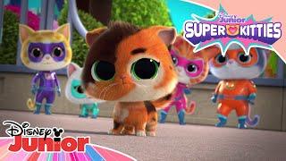 Pickles the Super-Fan | SuperKitties ⭐ | Disney Junior MENA