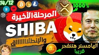 بيتكوين(Bitcoin) |حيتان تتحرك! عمله الشيبا فرصه كبيره|هامستر تنفجر قريبا|افضل العملات الرقميه! 2024|