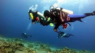 Дайв-сафари 2021 / Дахаб / Северный маршрут / Дайвинг / Diving / Египет