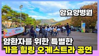 자연 속 암요양병원에서 만나는 특별한 가을 힐링 음악회 | 성암요양병원 | 청주윈드오케스트라 & 가수 김민서님 특별 공연