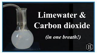 Testing for CO2 (Carbon dioxide) with Limewater