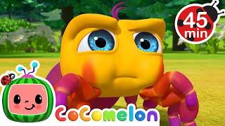 Itsy Bitsy Spider + More Animal Songs ️ | Cocomelon Animal Time - Nursery Rhymes