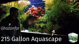 The Biggest Aquascape I've Ever Seen (Amano Inspired Tank by Ghazanfar Ghori)