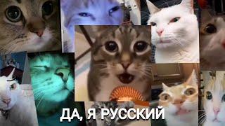 НАВЕРНОЕ ПОЭТ, ЯКОРЪ, EVEN CUTE & Ernest Merkel - ДА, Я РУССКИЙ (Клип, Cat Version)