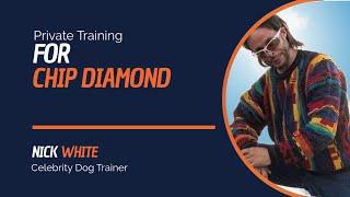 Celebrity Dog Training | Celebrity Dog Trainers | Chip Diamond