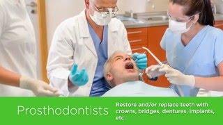 Dentistry Decoded: Dental Specialists