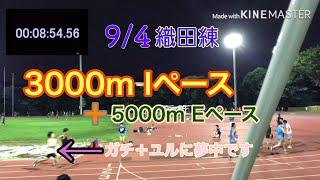 【ガチ練】トラックレース対策＋マラソン対策ができるガチユル走に夢中です【3000mIペース＋5000mEペース 】