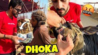 350K KA SODA HOA PAR DHOKA HOGAYA COW MANDI | MISHKAT KHAN