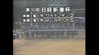 第３０回　日経新春杯　オーバーレインボー　牡６　58　田島良保　1983.1.23　　出走馬：メジロカーラ、ノトダイバー、ホースメンワイルド、カツアール、ワカテンザン、オペックホース他