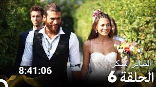جميع الحلقات من مسلسل الطائر المبكر الموسم 6 (Arabic Dubbed)