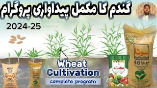 Wheat cultivation || Comprehensive Guide to Wheat Production & Fertilizer Planning"