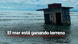 ¡Los desplaza! | Tabasco está PERDIENDO terreno contra el MAR; habitantes dejan sus hogares