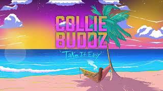 Collie Buddz - Mr. Wicked (Official Audio)