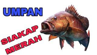 UMPAN MEMANCING SIAKAP MERAH / KAKAP MERAH / MJ