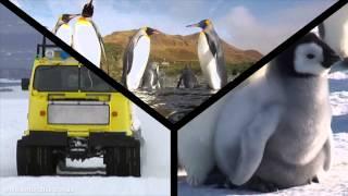 Australian Antarctic season 2012-13